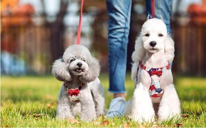  [h n[lX  ^ ^ [v  U xXg bh CG[ sN