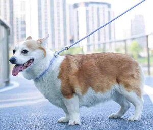  [h n[lX ^ ^ ^ [h n[lX P U [v ybgpi sN CG[ p[v