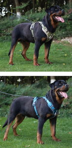  [h n[lX  ^ [h n[lX [v  ybgpi J[L ubN u[