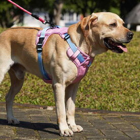 犬 リード ハーネス 胴輪 中型犬 大型犬 牽引ロープ 調節可能 散歩 オレンジ ピンク ブルー