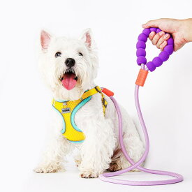 犬 リード ハーネス 胴輪 小型犬 中型犬 大型犬 リード ハーネス 絡まない 抜けにくい 散歩 ウォーキング オレンジ ピンク ブラック