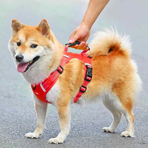  [h n[lX  ^ ^ ɂ [v ybgpi xXg U ubN bh CG[