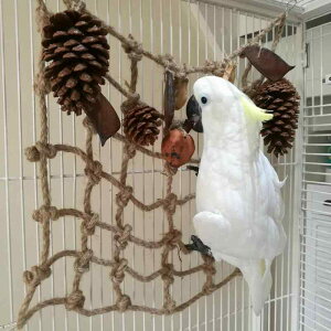 CR IE  lbg ObY  ߋ V ybgObY  NC~O nbN x[W