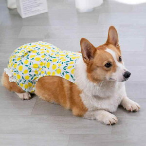  ނJo[ p Tj^[pc }i[pc ̎q  CG[ bh 