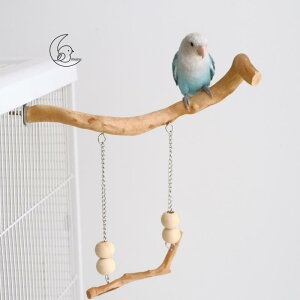 CR IE  uR ObY  ߋ V ybgObY _ } V ܂Ƃ x[W