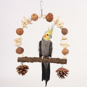 CR IE  uR ObY  ߋ V ybgObY p ibc ڂ  XgX  ꖂ uE