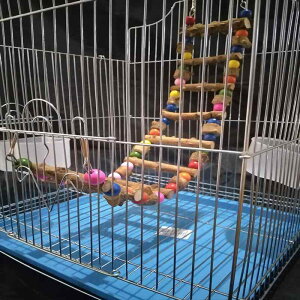 CR IE  q ͂ ObY  ߋ V ybgObY   _ 悶o P[W x[W