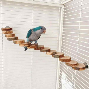 CR IE  ObY  ߋ V ybgObY _ ͂ Vя q Wv uE