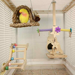 CR  ObY  ߋ V ybgObY   ҂  ͂ H x[W