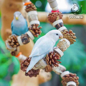 CR IE  ObY  ߋ V ybgObY ڂ  V o C炵  m x[W