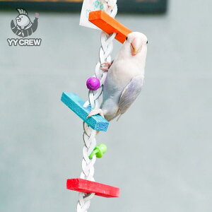 CR IE  ObY  ߋ V ybgObY v [v ݂艺  C炵 zCg