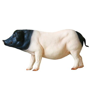  IuWF O 뉀 K[f A I q  CmVV    u c fR[V K[fjO GNXeA ͌^ }XRbg