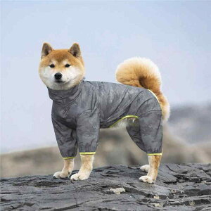 pCR[g ^ S[fgo[ uh[go[ h   y l AEghA U Sg ybgpJ |GXe |` VFWPbg hbOE