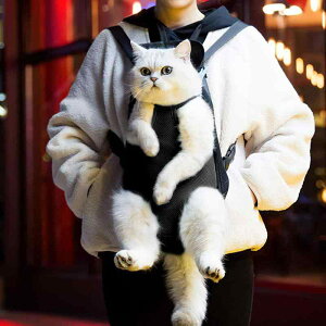 ybgbN ybgL[ L  ^p Oo s U ʉ@ hCu ЊQ ʋC bV |GXef y O obNpbN  lo \tg^Cv ubN 