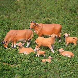 u   IuWF tBMA | ~ K[fjO 뉀  Xe[LnEX X܃fBXvC CeAG  Jg[X^C