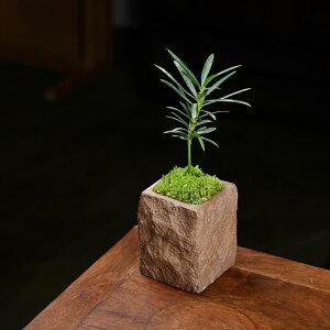 lHϗtA ~j~ ɏ~i ~j`A | JVE  fXN rO   u  CeA _ Vv X^CbV  Β |bgt