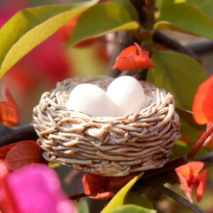 eE A A WI} ` lH ̑ ̗ LN^[ ~j u DIY 