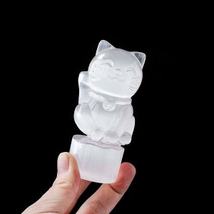 u VR΍p VR z H|i 蒤  NX}X T^N[X Ⴞ L tNE Vg  CeA  fR[V IuWF   v[g Mtg 