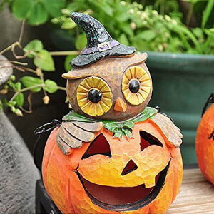 nEB tNE J{` LEDCg  O K[fI[ig 뉀 AEghA fR[V fBXvC ͋C