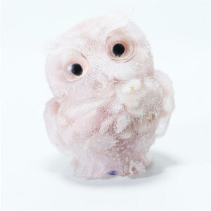 u tNE ~jIuWF  VR   킢 CeA ԓ fXN Mtg LOi N bL[ACe LxȃJ[oG[V