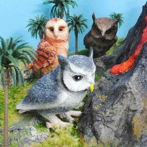 tNE tBMA 3Zbg tNE   PVC C \bhf A V~[V  fXNCeA Ϗܗp u IuWF ~j`A