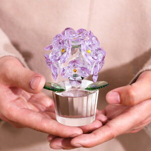 IuWF NX^ AWTC  CeA u z[fR[V  |pIfUC  sN bh u[ O[  ʂȃJ[oG[V