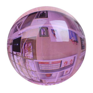 NX^{[ p[Xg[ K9f VR  u  sN p[v CG[ u[ O[ ubN bh F ۋ CeA q[O   ACe (x2)