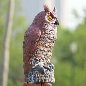 K[fI[ig tNE Q΍ vX`bN A  IuWF `ʐF   x_ Op ݂艺^Cv K[fjO