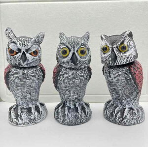 悯 A tNE U 360x] ͑ fRC  K[f IuWF |G` Q΍  x_  u