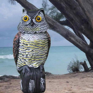 悯 ӂ낤 fRC u U A Њd 쏜  dq O  K[fjO  _ x_ ƒ؉ vX`bN 