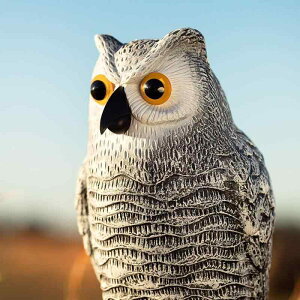 tNE u A 悯 Q΍ I[ig fR[V IuWF O  K[fjO AJX^C vX`bN  