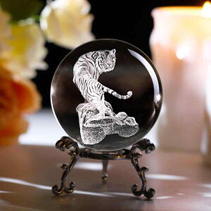 u NA NX^{[ 3D [U[  tNE   CeA  IuWF Mtg v[g _ X^CbV  rO Q  