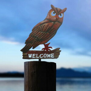 K[fI[ig tNE S nY bh  Ő eX O  _A[g IuWF fR[V ԉo i