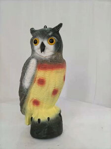 tNE 뉀IuWF Qb΍ Q΍ fRC A 񂩂 vX`bN PE \[[Cg Op K[fjO   