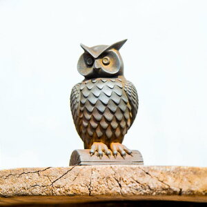 u tNE ؕ Vv NGCeBu   CeA     uYJ[ rO  IuWF z[fR[V  A[gH|i