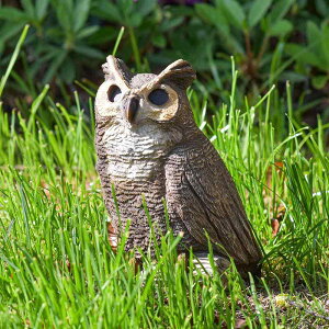 u tNE Iȑ`  W y ό K[fI[ig O   x_ h fR[V Jg[ `[t