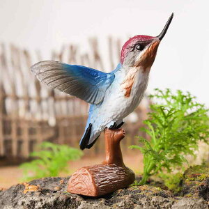 おもちゃ 子供 野生動物 ハチドリ 鳥 リアル フィギュア 模型 プラスチック製 精密 教育玩具 知育玩具 認識 学習 卓上 コレクション ディスプレイ オブジェ インテリア 置物 飾り ミニチュア
