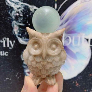 u tNE  ʗp NX^{[   CeA IuWF _ Vv  rO  킢