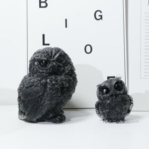 u tNE NX^ W  ԓ rO fXN IuWF  蕨 [YNH[c Vg ANA} AWXg ^CK[AC IuVfBA VR 