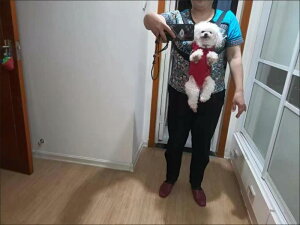 ybg L[obO L  ^ ^L ^ ^L o U ʉ@p R O  bNTbN obNpbN |[^u y LoXn ʋCQ