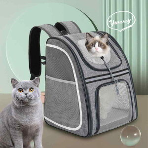 ybgL[ L p op |[^u ܂肽ݎ bNTbN obNpbN tgbN O IbNXtH[hn v 芴 s ʉ@ U ЊQ ً}p u