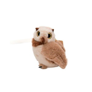 ʂ yA tNE  킢 L[z_[ }XRbg `[ ӂӂ  w ʊw obO`[ zCg O[ uE