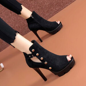 T_u[c fB[X I[vgD nCq[  Xg[ sq[ X^bY OfBG[^[  tFCNU[ F {h[ ؍ JWA