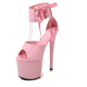 T_ fB[X Gi pegU[  vbgtH[ 20cmq[ ׃q[ XeBbgq[ X^bY e ZNV[ EhgD ANXgbv obNXg