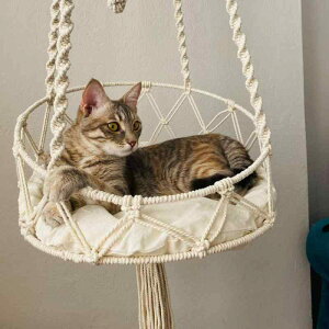 Lpxbh LbgnEX LpnbN {w~A ҂ݍ }N k ^yXg[ lbg bV ݂艺 uR XCO I[V[Y lGʗp K xe  