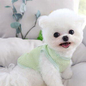 ybgEFA L p xXg ^Ngbv t  y bV ҂ ʋC  K [hΉ n[lX̌^ 킢  U o JWA