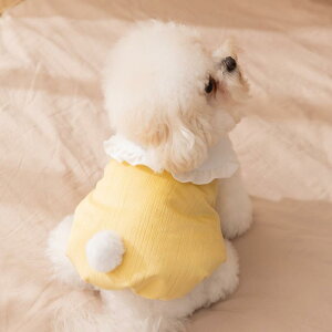 ybg 킢  ݕt  Rbg ȑf H~p ^ rVt[[ gCv[h ` _bNX  L h hbOEFA LbgEFA   JW