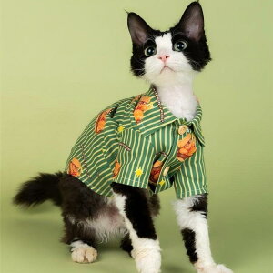 ybgEFA Lp XtBNXLΉ N} {[_[ XgCv Vc gbvX XK[ JWA |GXe _炩Nѐn KȒSn ig U ё΍ 