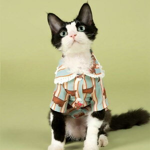 ybgEFA ^ Lp [X XgCv 킢 Vc gbvX pW} [EFA QԒ f{bNX XtBNX єL |GXe JWA u[ 