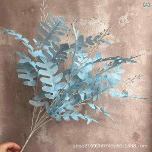 tFCNt[  A u[n AWTC o GWt IVWEt EFfBO  CeA t[AWgԍ